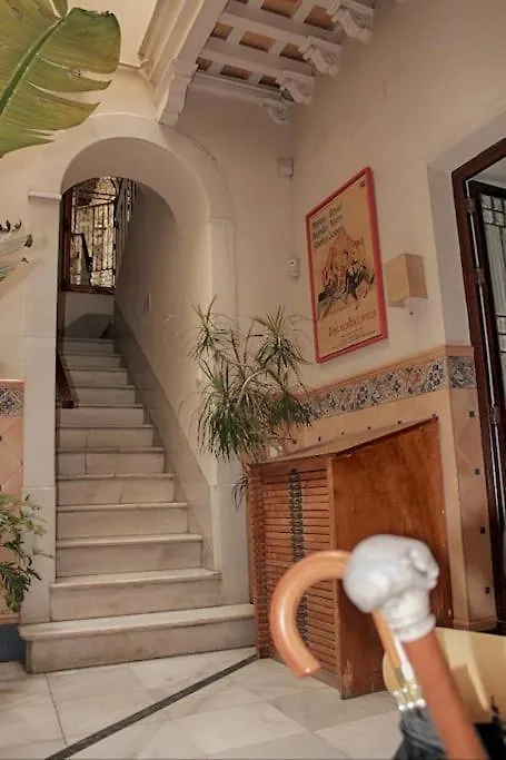 Penthouse With Large Terrace In Center Of Cadiz Lejlighed Spanien